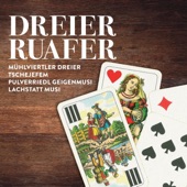 Vinzenz Boarischer - Pulverriedl Geigenmusi