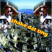 Shake Dat Ting artwork