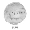Diam (feat. Orkes Panawijen) - Single, 2018