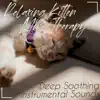 Relaxing Kitten Music Therapy: Deep Soothing Instrumental Sounds album lyrics, reviews, download