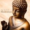 Sleep Meditation 50 Tracks - Sounds of Nature & Relaxing Meditation Music for Sleep, Deep Meditation, Yoga, Spa, Healing - Deep Relaxation Meditation Academy