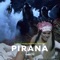 Pirana (feat. Young Palk & Teodora) - Djans lyrics