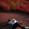 Came From Nothing (feat. Sheck Wes) song lyrics