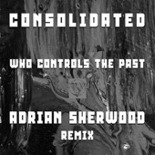 Who Controls the Past (Adrian Sherwood Dub Mix) artwork