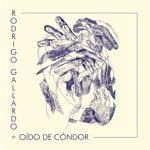 Rodrigo Gallardo & Oído de Cóndor - Festejo del Cóndor