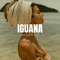 Iguana (Reggaeton Instrumental) artwork