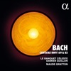 Damien Guillon & Le Banquet Céleste - Cantata "Ich habe genug", BWV 82: I. Aria "Ich habe genug"