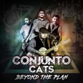 Beyond the Plan artwork