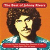 The Best of Johnny Rivers