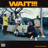 Wait (feat. Joevibes, Papajay, Fije & Sassyfresh) artwork
