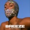 Breeze artwork