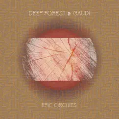 Epic Circuits by Deep Forest & Gaudi album reviews, ratings, credits