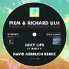 Stream & download Juicy Lips (feat. Mikey V) [David Herrlich Remix - Extended Mix]