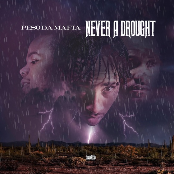 Cover artwork for Too High