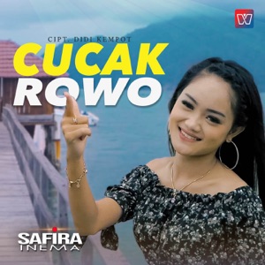 Safira Inema - Cucak Rowo - 排舞 编舞者