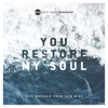 You Restore My Soul (Live)