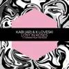 Lost in Roses - Single album lyrics, reviews, download