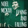 Flying and Falling - Single