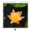 Arising from Silence - Single