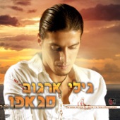 סגאפו artwork