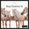 Stay Positive 16 cover