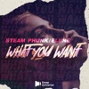 What You Want - Single