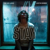 Stay artwork