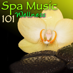 Spa Music 101 Wellness: Amazing Relaxing Sounds for Spas - Spa, Meditation Relax Club &amp; Pure Massage Music Cover Art