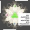 Yellow Happy Deer (Meditating Theta Waves) - Paul Peace Meditation Library lyrics