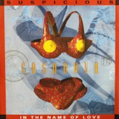 IN THE NAME OF LOVE (Radio Version) artwork