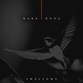 Swallows - EP artwork