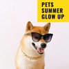 Pets Summer Glow Up