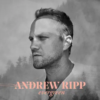 Roses by Andrew Ripp song reviws