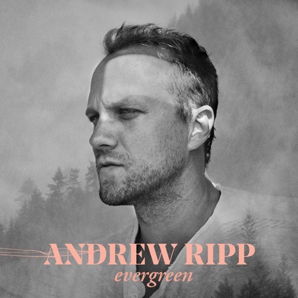 Andrew Ripp - Roses