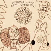 Devendra Banhart - A Sight to Behold