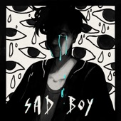 Sad Boy (feat. Ava Max & Kylie Cantrall) artwork