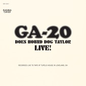 Does Hound Dog Taylor Live! - EP artwork