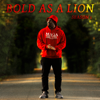 Bryson Gray - Bold as a Lion: Season 1 artwork