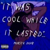 It Was Cool While It Lasted - EP