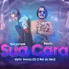 Sua Cara (Bregafunk Remix) song lyrics