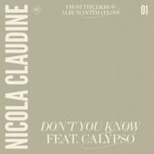 Don't You Know (feat. Calÿpso) artwork
