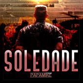 Soledade artwork