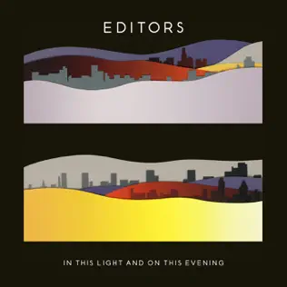 baixar álbum Editors - In This Light And On This Evening