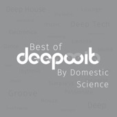 Best of DeepWit by Domestic Science (DJ Mix) artwork