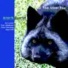 The Silver Fox (feat. Art Lande & Erik Jekabson) album lyrics, reviews, download