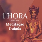 1 HORA de Música de Meditação Guiada artwork