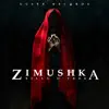 Stream & download Zimushka - Single