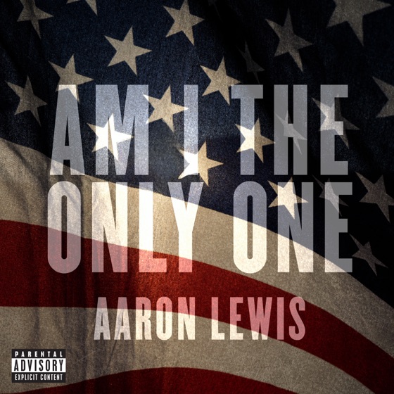 Cover artwork for Am I The Only One