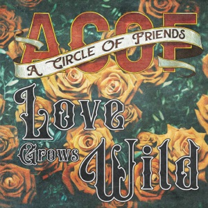 Alex Nyborg Madsen & A Circle Of Friends - Love Grows Wild - 排舞 音乐