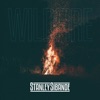 Wildfire - Single